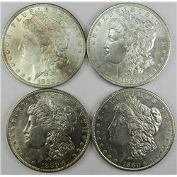 Four Coin Morgan Dollar Group.
