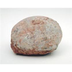 A fossilised dinosaur egg, approximately 2 million years old £100-150...