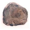 Image 1 : An Egyptian limestone relief fragment of a head with swept back hair, 3ins £100-150...