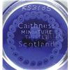 Image 3 : CAITHNESS THISTLE PAPERWEIGHT.