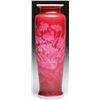 Image 1 : WEBB INTAGLIO CUT VASE.