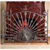 Image 1 : Peacock Fireplace Screen