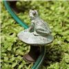 Image 1 : FROG ON MUSHROOM HOSE GUARD