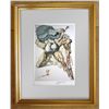 Image 1 : SALVADOR DALI LITHOGRAPH