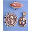 Image 1 : A Victorian Shakudo work circular brooch worked iris and waterlilies, in a beaded gold frame, a d...