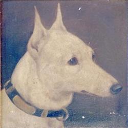 Nineteenth century English School, oil on board, Study of a dogs head, 9ins x 9ins £100-150...