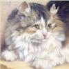 Image 1 : After Ronner, oil on board, Study of a cat, 5.5ins x 5.25ins £100-150...