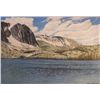 Image 1 : C. Brandorff, Oil on canvas,