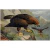 Image 1 : Johannes Gerardus Keulemans, Chromolithograph