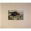 Image 2 : Johannes Gerardus Keulemans, Chromolithograph