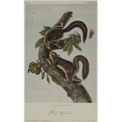 John James Audubon, Lithograph