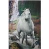 Image 1 : Beautiful white horse landscape