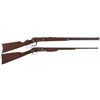 Image 1 : Two Rifles