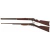 Image 2 : Two Rifles