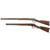 Image 2 : Two Winchester Lever Action Long Guns