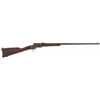 Image 1 : Triplett & Scott Repeating Carbine