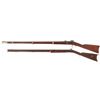 Image 2 : Two Percussion Long Guns