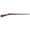 Image 1 : U.S. Springfield Model 1879 Trapdoor Rifle