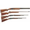 Image 1 : Three Rifles and One Shotgun