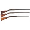 Image 1 : Three American Side by Side Hammer Shotguns