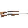 Image 1 : Two Remington Model 11 Semi-Automatic Shotguns