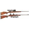 Image 1 : Two Bolt Action Sporting Rifles with Scopes