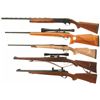 Image 2 : Five Sporting Long Guns