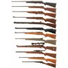 Image 2 : Twelve Long Guns