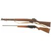 Image 2 : Two Long Guns
