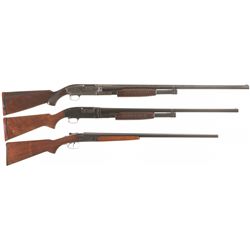 Three Winchester Shotguns