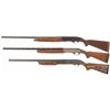 Image 2 : Three Shotguns