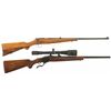 Image 1 : Two Sporting Rifles