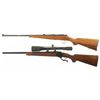 Image 2 : Two Sporting Rifles