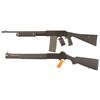 Image 2 : Two Shotguns