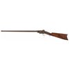 Image 2 : Scarce Warner Open Frame Revolving Carbine