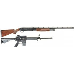 Two Long Guns