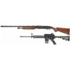 Image 2 : Two Long Guns