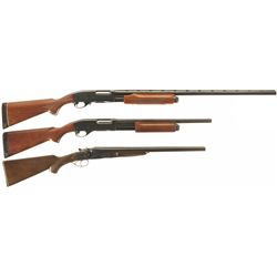 Three Shotguns