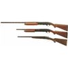Image 2 : Three Shotguns