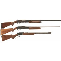 Three Sporting Long Guns