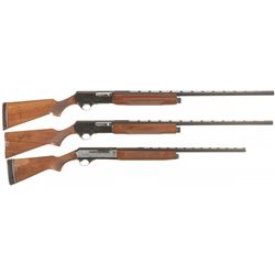 Three Semi-Automatic Shotguns