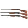 Image 2 : Three Shotguns
