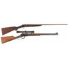Image 1 : One Shotgun and One Rifle