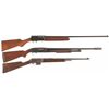 Image 1 : Three Long Guns