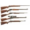 Image 1 : Five Long Guns
