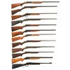 Image 1 : Twelve Long Guns