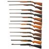 Image 2 : Twelve Long Guns
