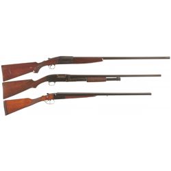 Three Shotguns