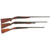 Image 1 : Three Shotguns