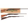 Image 1 : Three Long Guns